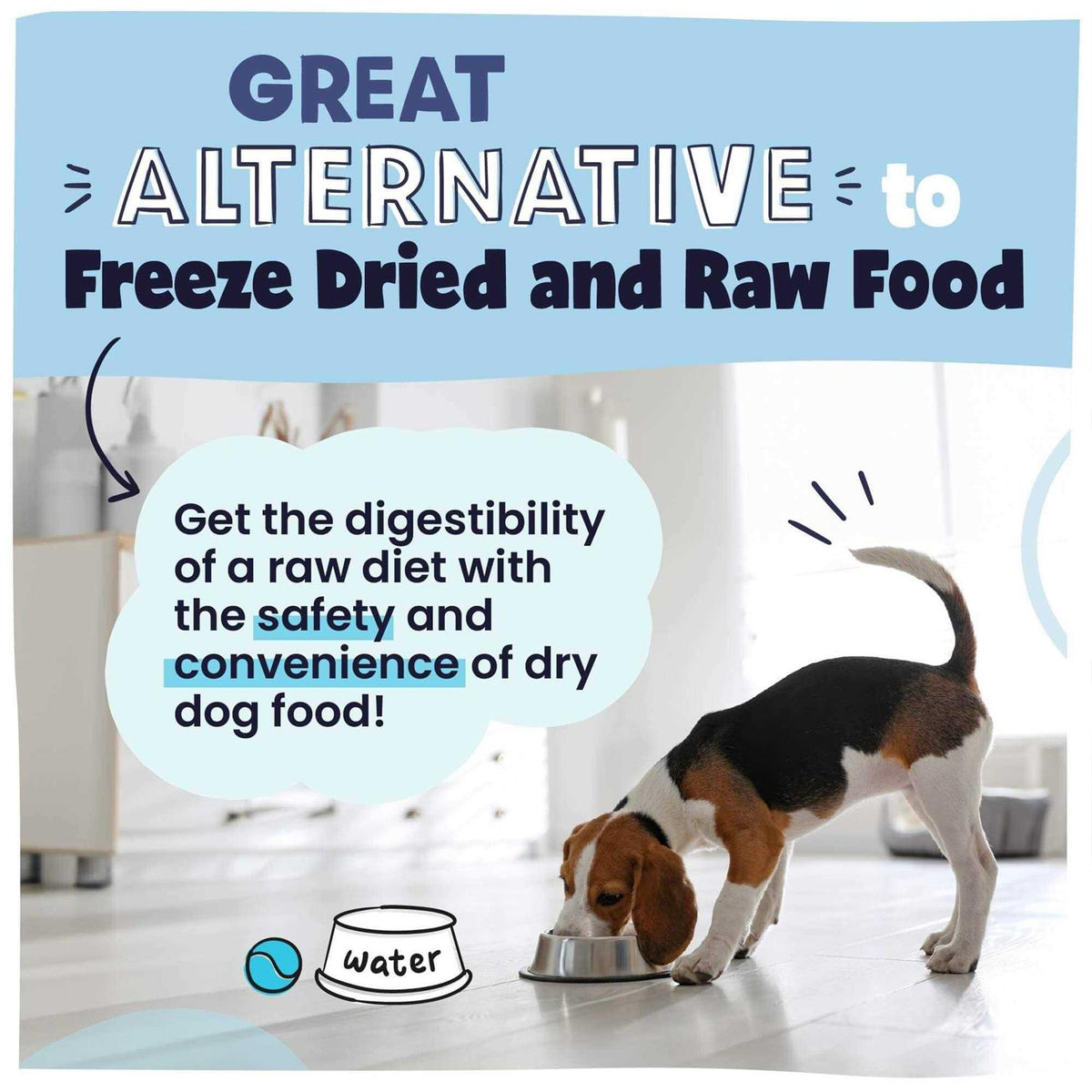 Grain-Free Air Dried Dog Food T2728
