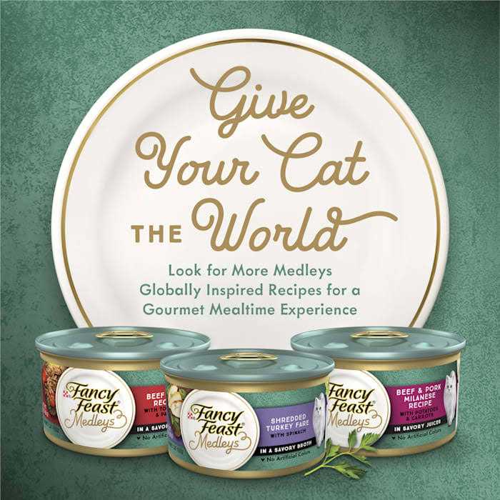 Wet Cat Food W643432