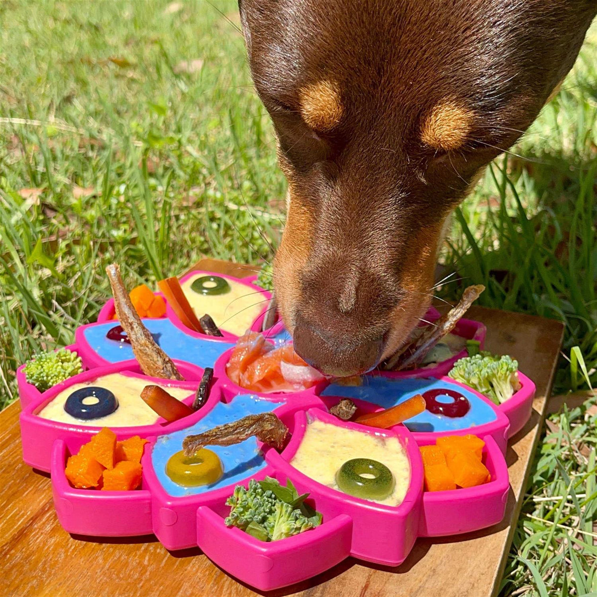Mandala Design Enrichment Tray for Dogs O339