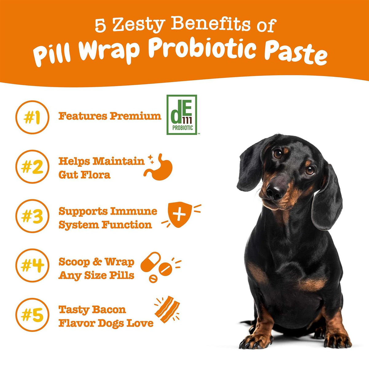 Probiotic Paste for Dogs X704017