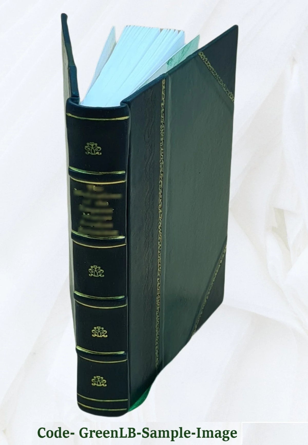 Leather Bound Book A29158