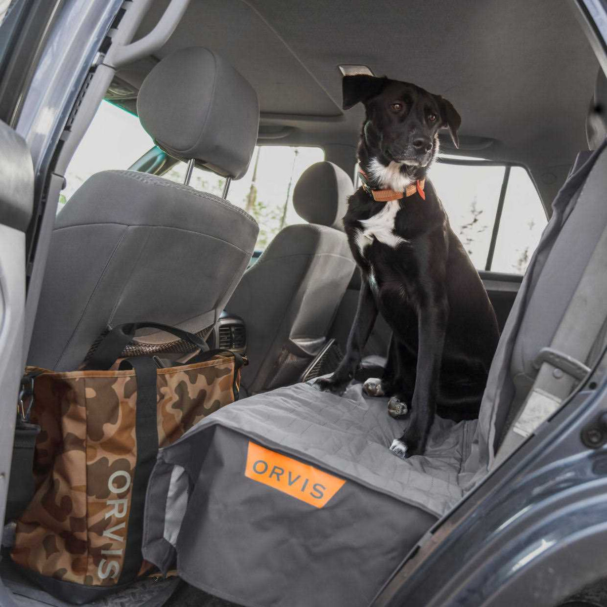 Dog Tote W542760