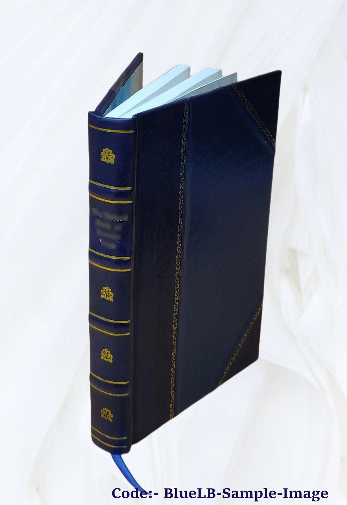 Law Reports Volume 5 1899 Leather Bound R969