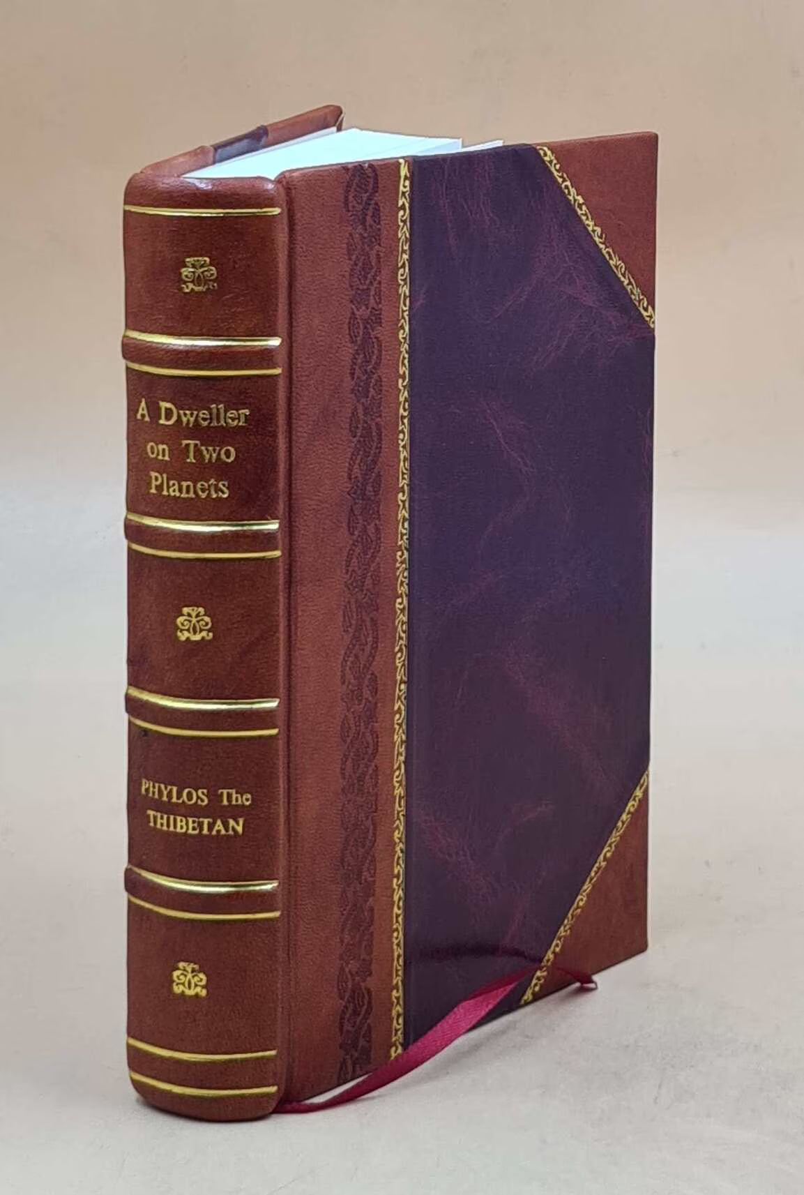 Leather Bound Book A29158