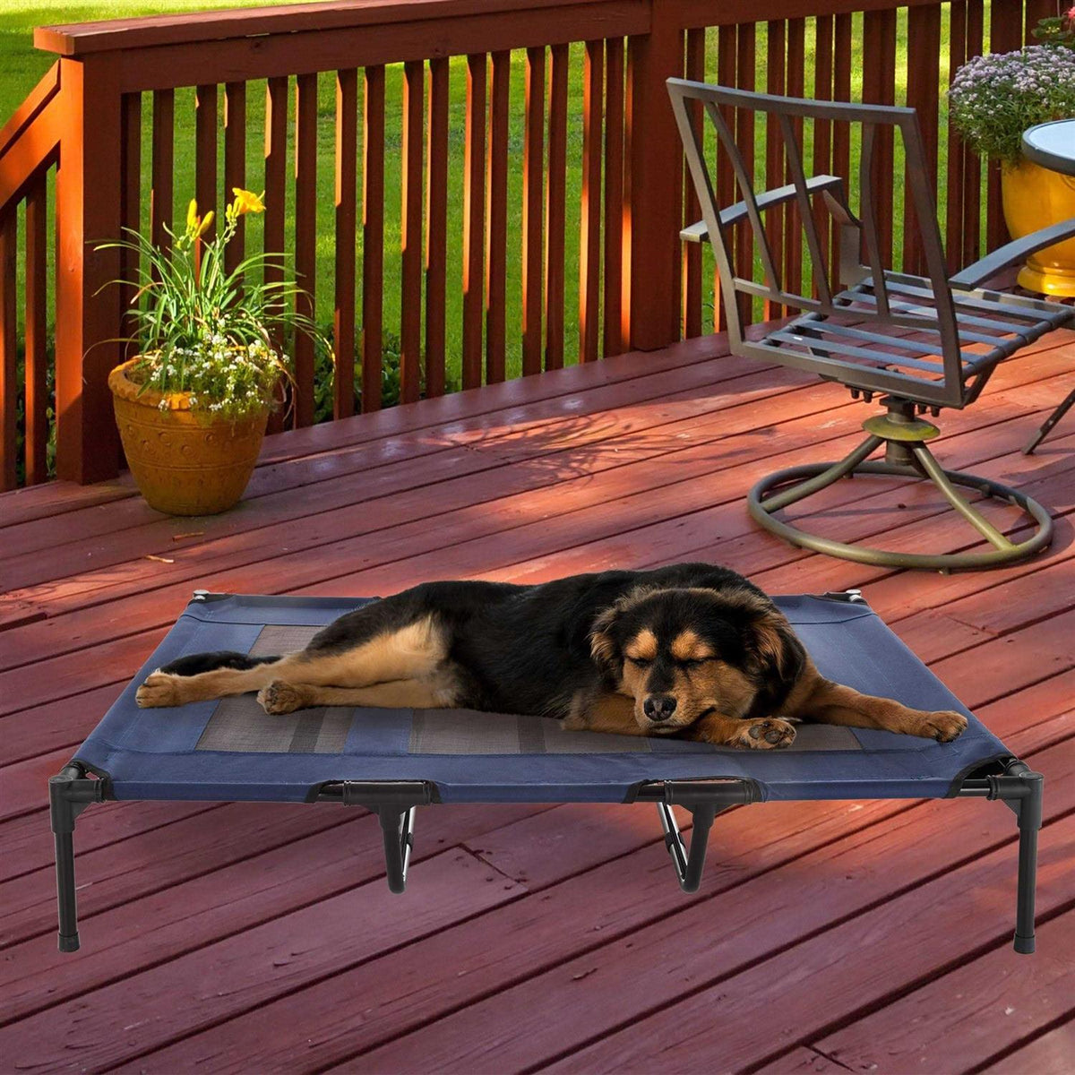 Cot-Style Elevated Pet Bed U4054