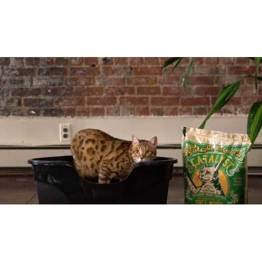 Soft Wood Cat Litter Z2909