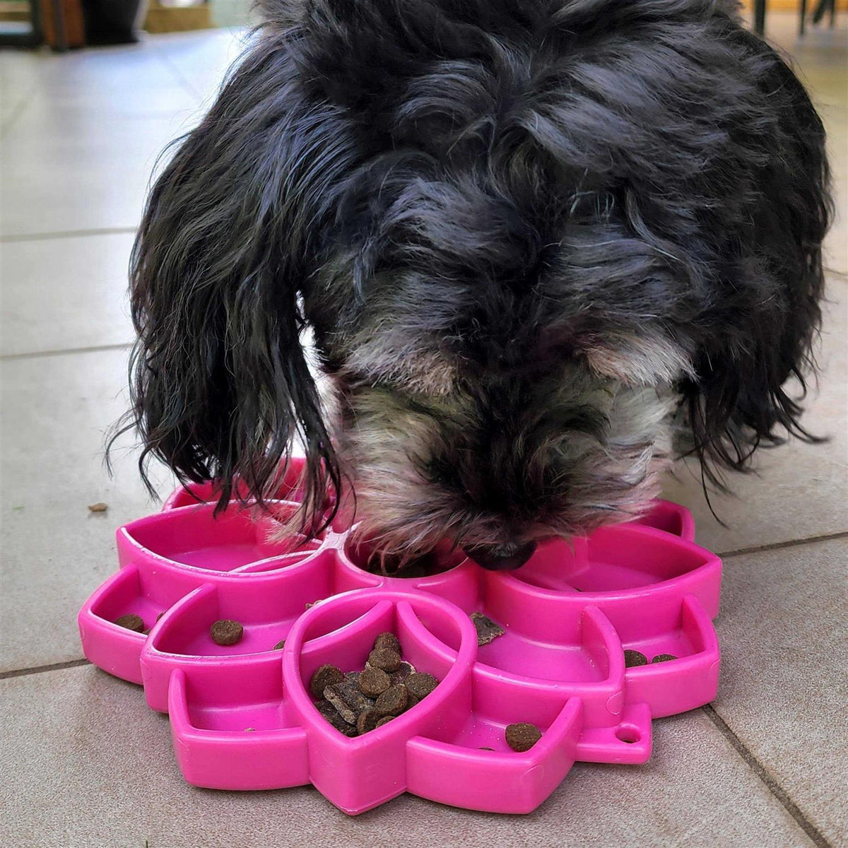 Mandala Design Enrichment Tray for Dogs O339