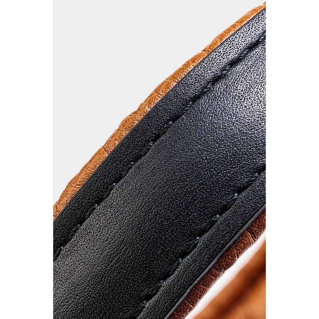 Padded Leather Dog Collar Z63035