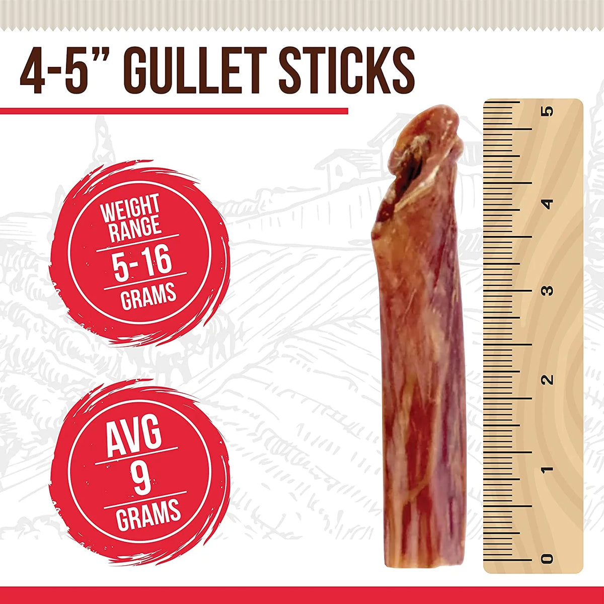 Natural Beef Jerky Dog Chews 16 oz W308