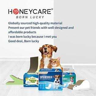 Dog and Puppy Training Pads A829594