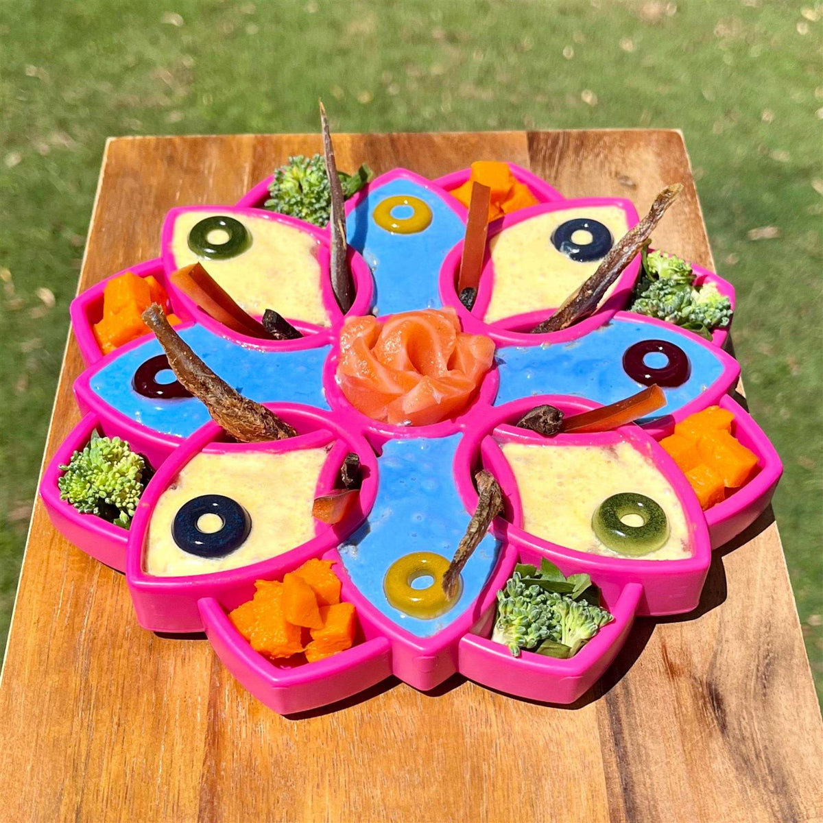 Mandala Design Enrichment Tray for Dogs O339