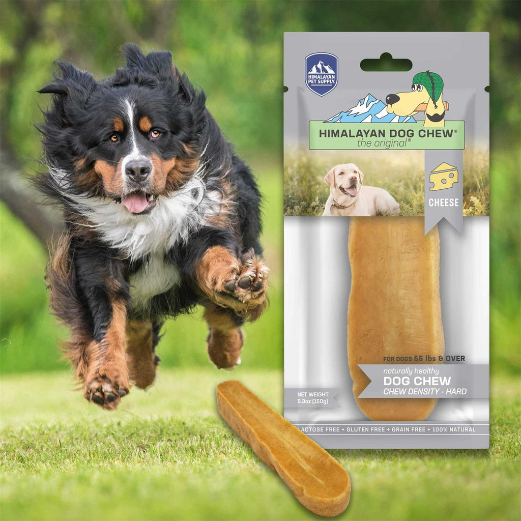 Dog Chew N588958