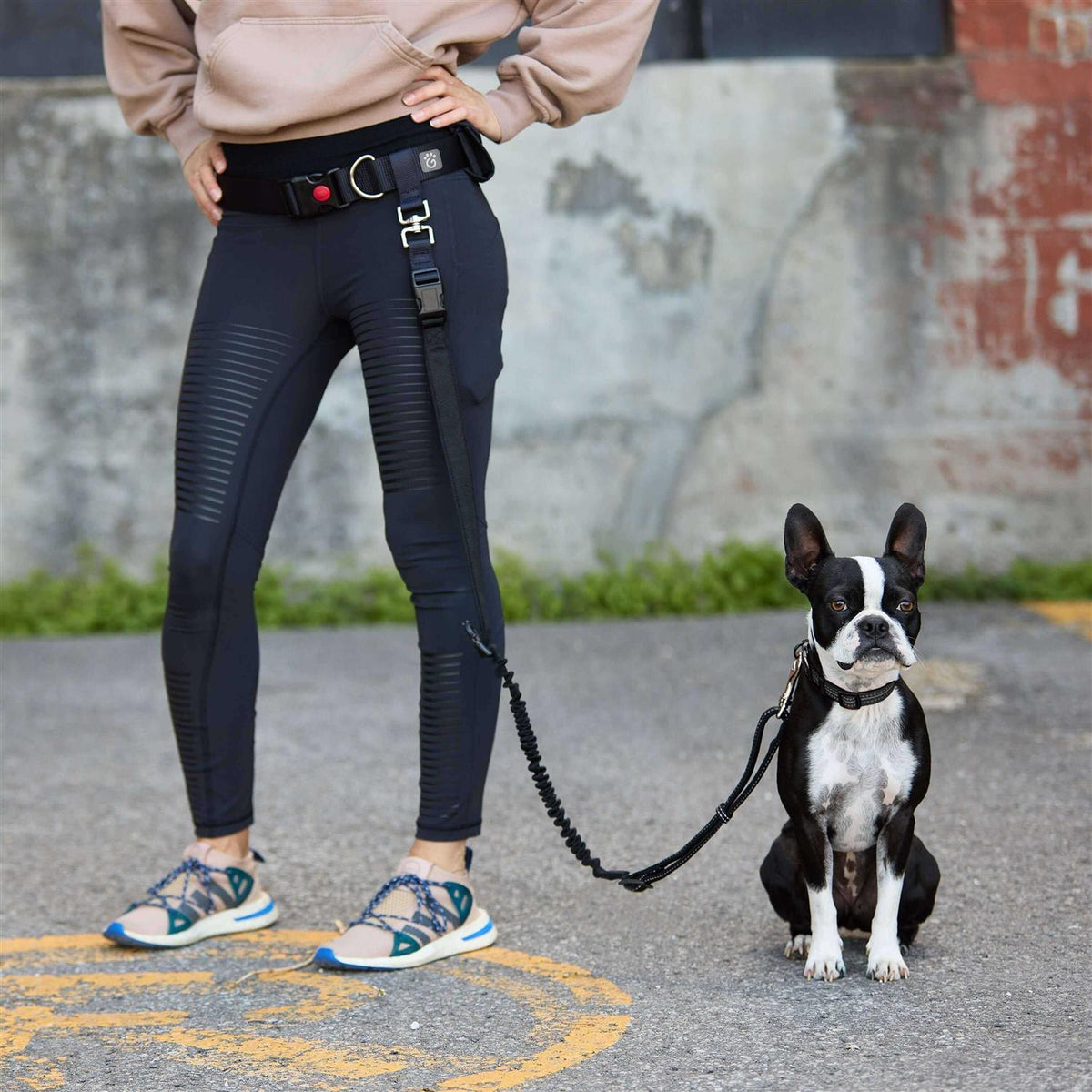 Pet Waist Belt & Bungee Leash M524