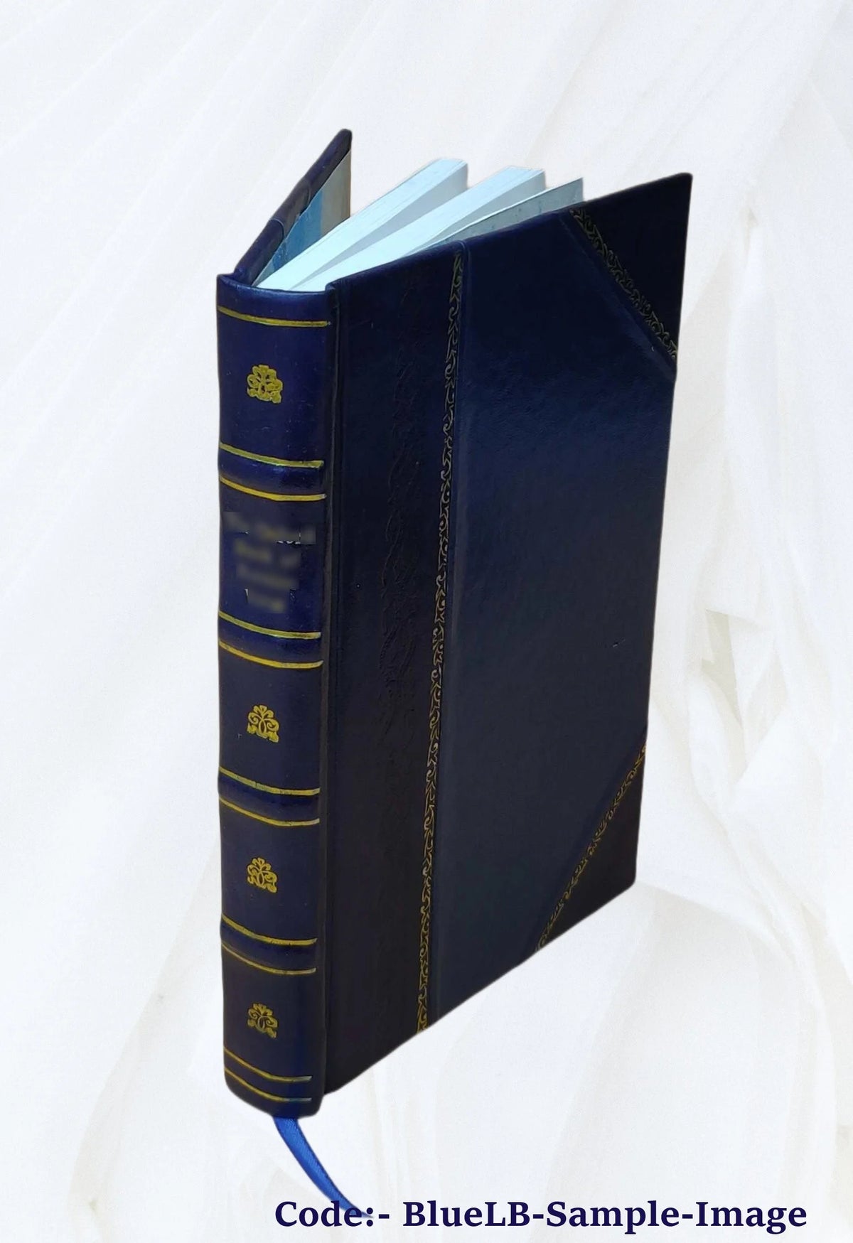 Leather Bound Book A29158