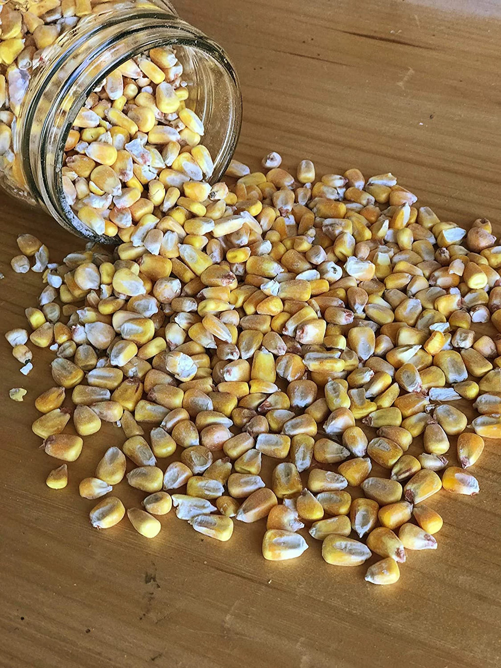 Shelled Corn Non-GMO 50 lb F984
