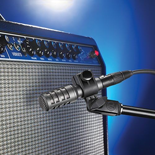 Cardioid Dynamic Instrument Microphone Z112