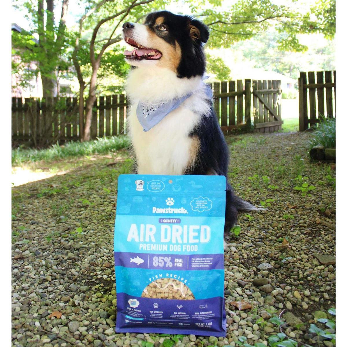 Grain-Free Air Dried Dog Food T2728