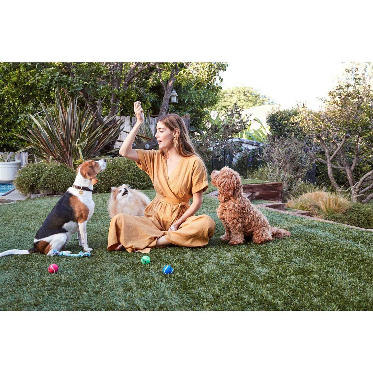 Beef Jerky Tenders Dog Treats R2104