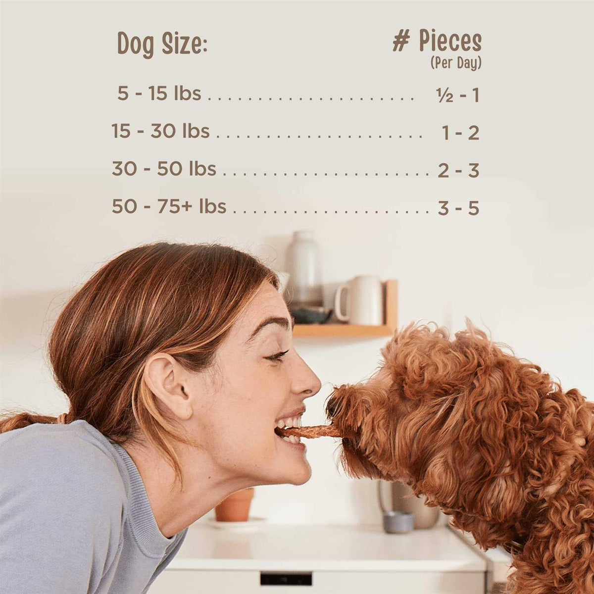 Beef Jerky Tenders Dog Treats R2104