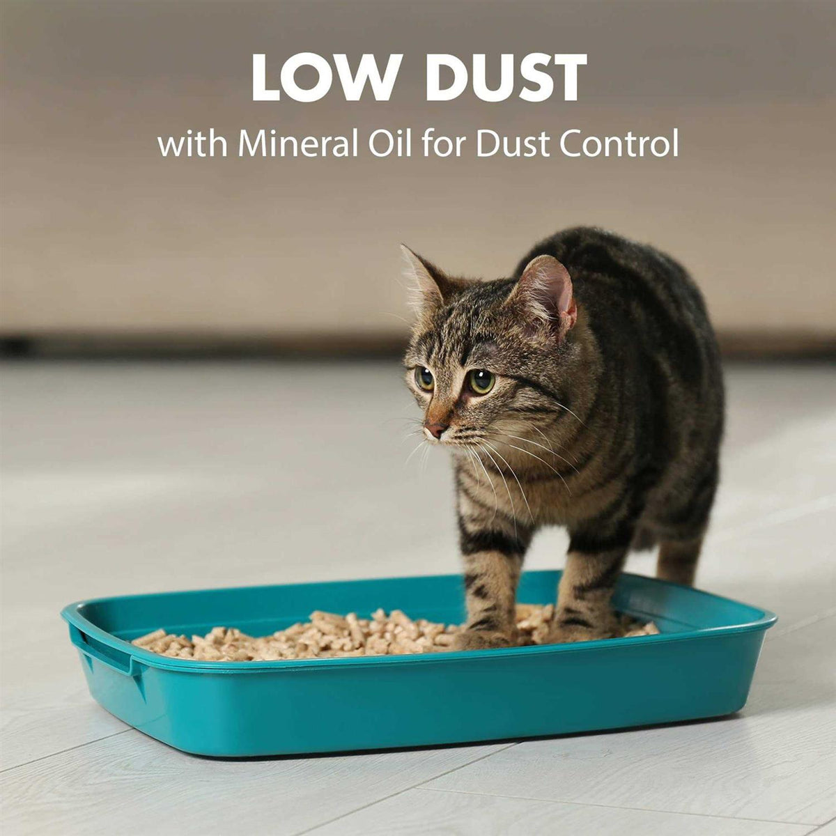 Multi-Cat Litter T729151