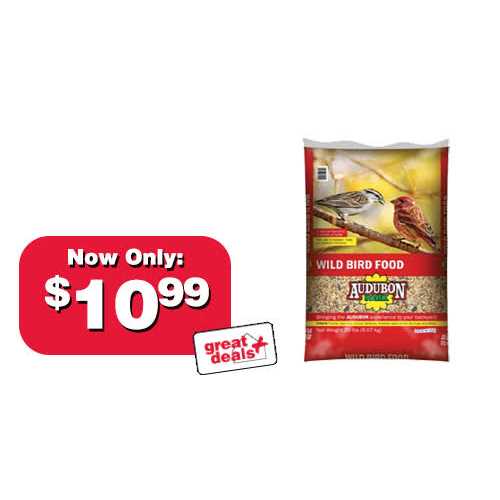 Wild Bird Food L800644