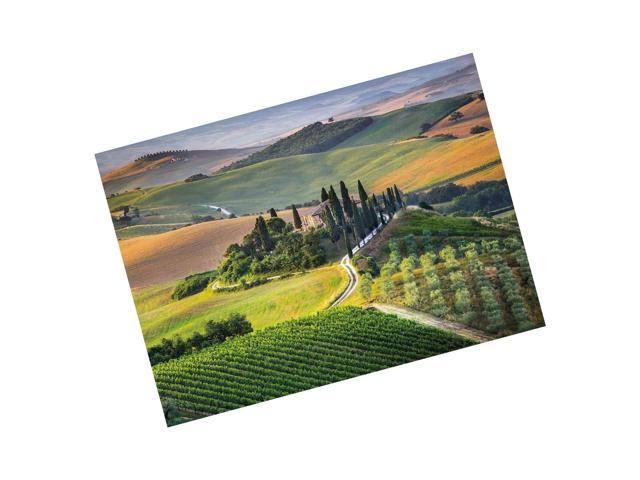 1000 Piece Puzzle N9931