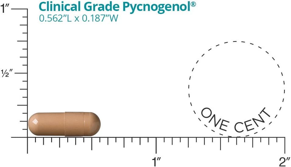 60 Capsules Pycnogenol K39387