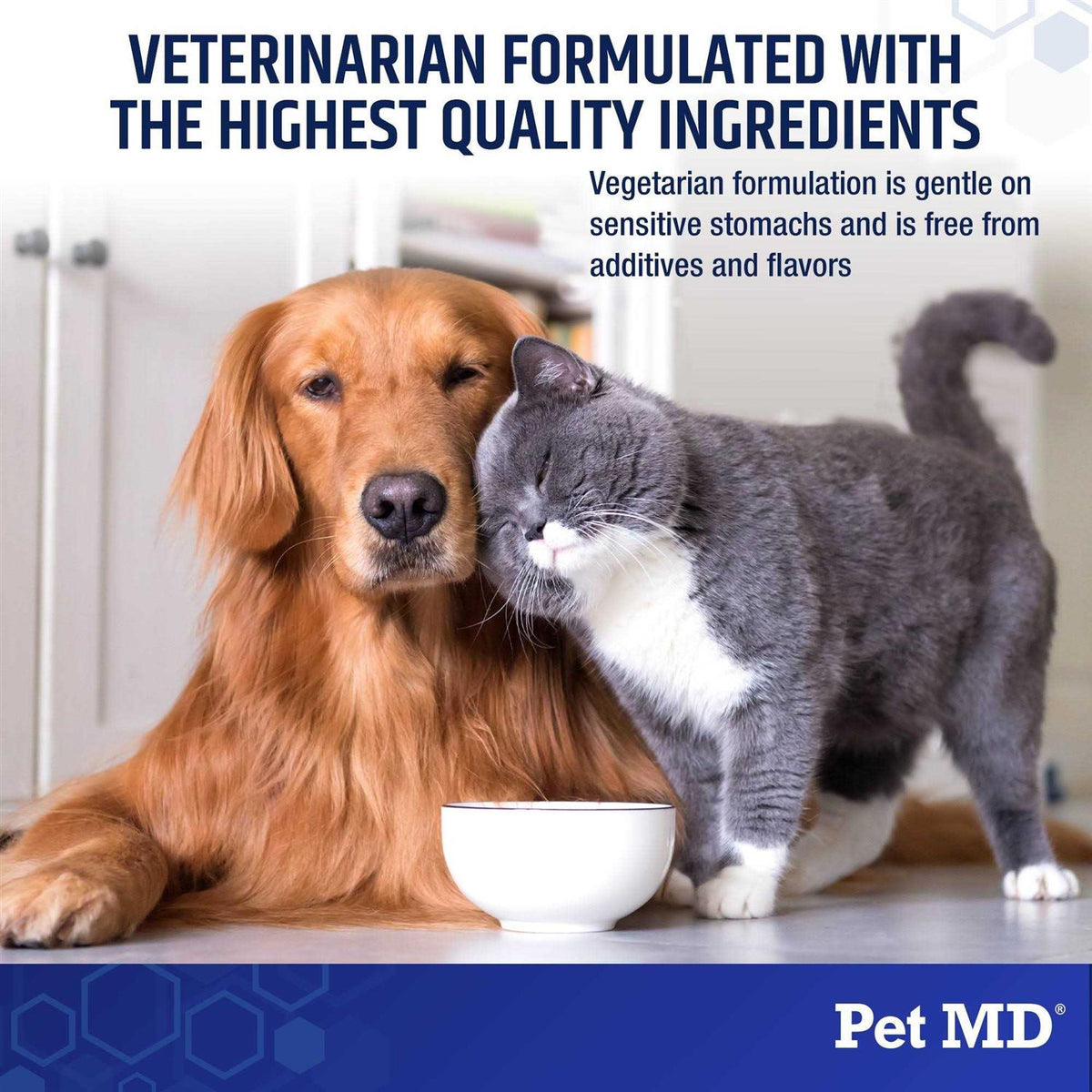 Probiotics for Dogs & Cats G90188