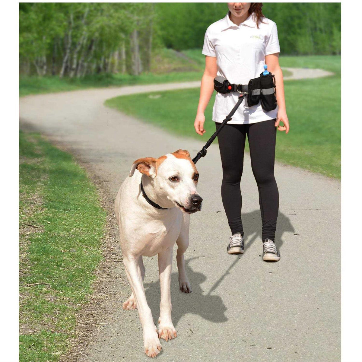 Pet Waist Belt & Bungee Leash M524