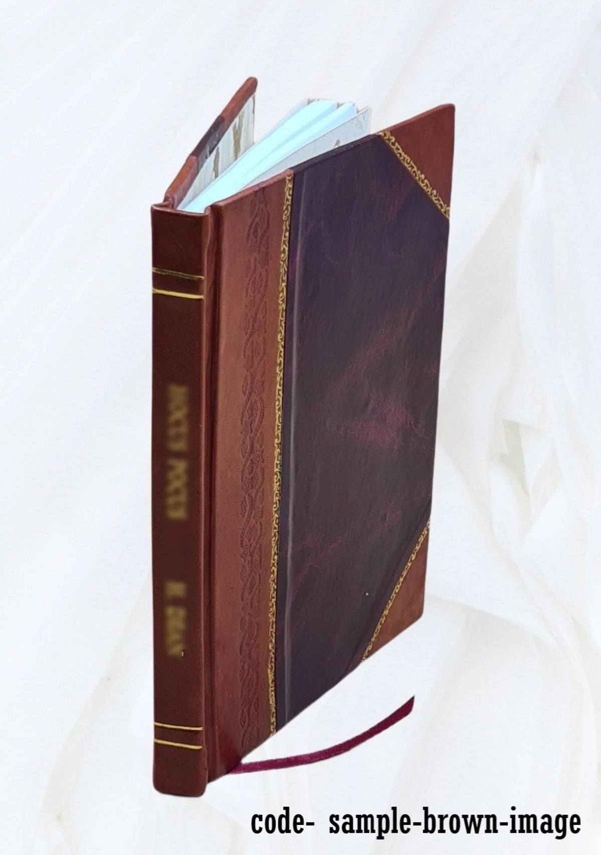 Fissionable Isotopes of Uranium, Plutonium, and Thorium Leather Bound Y701443