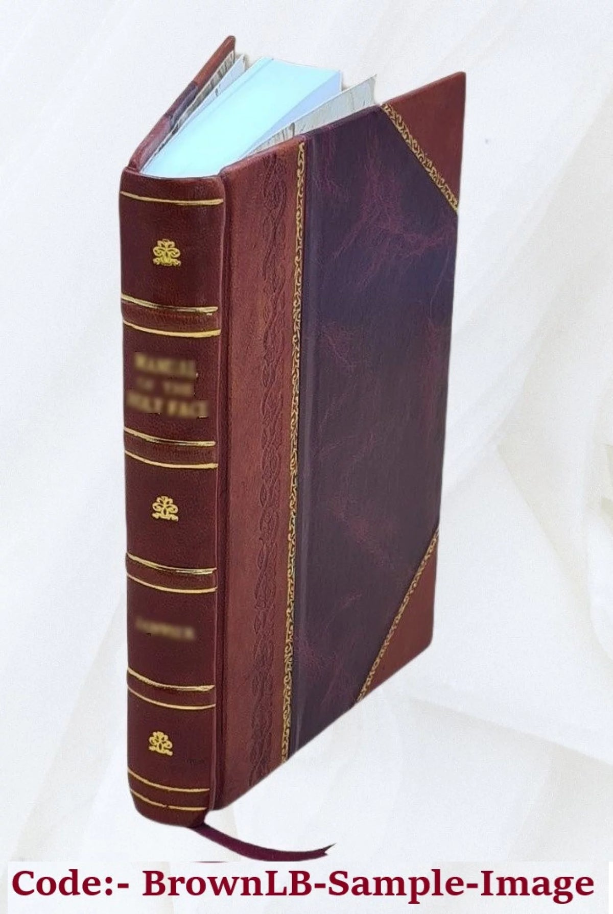 Leather Bound Illustrated Nouvelles S921677