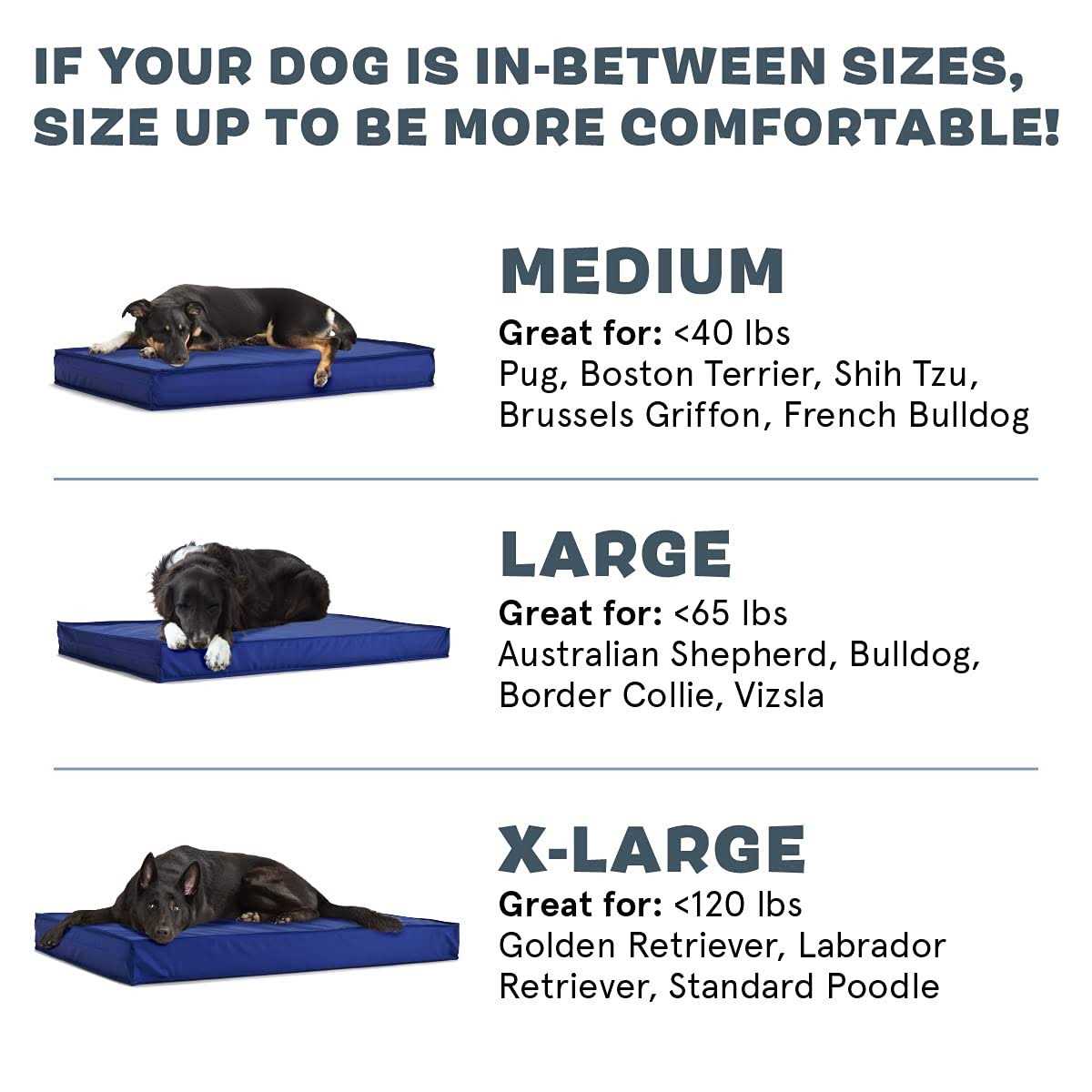 Waterproof Dog or Cat Mattress Bed with Removable Cover R611205