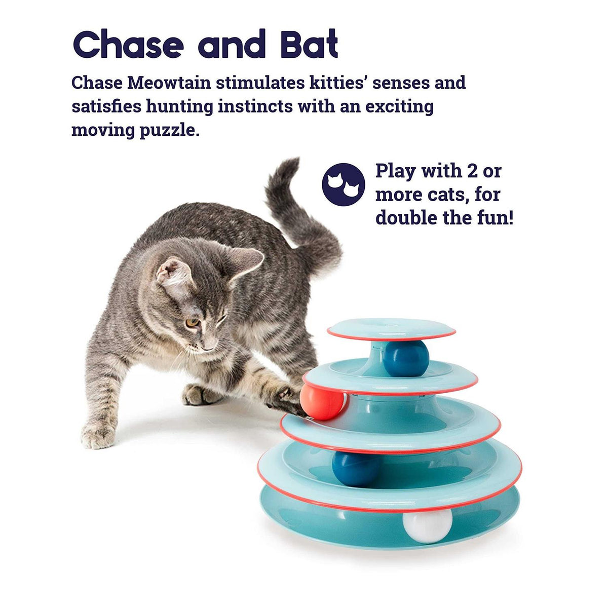 Cat Toy R8905