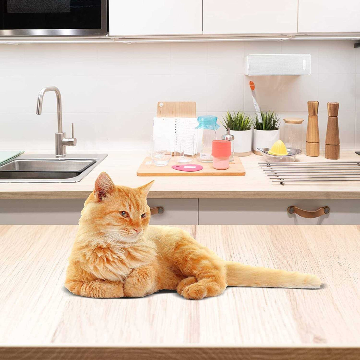 Furniture Protector Pet Deterrent Tiles Z5519