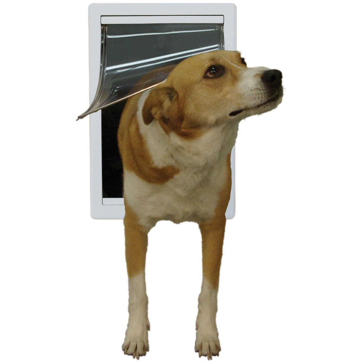 Plastic Pet Door W2447