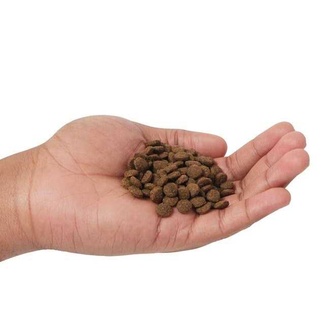 Lamb & Blueberry Dry Cat Food U2867