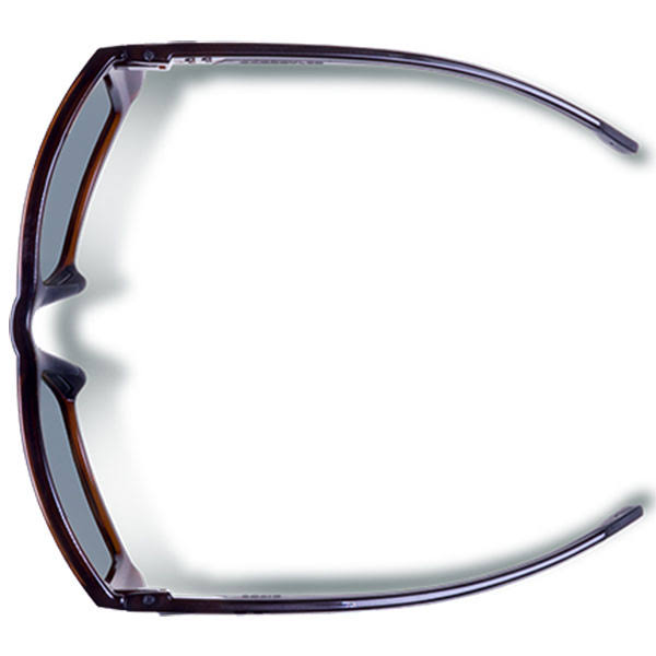 Polarized Tortoise-Green Gargoyles Z980381
