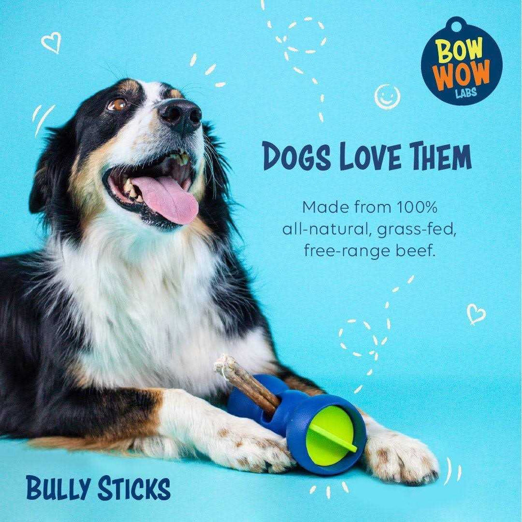 Bully Sticks G479965