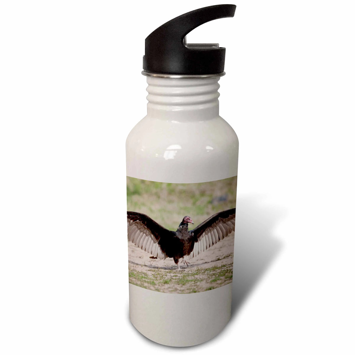 Turkey Vulture bird Sports Water Bottle N167516
