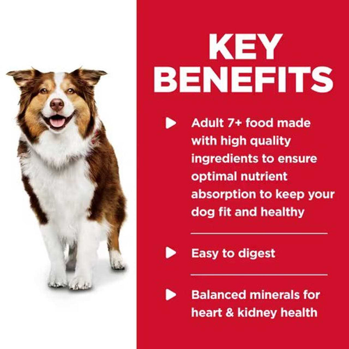Adult 7+ Beef & Barley Entree Dog Food C607482
