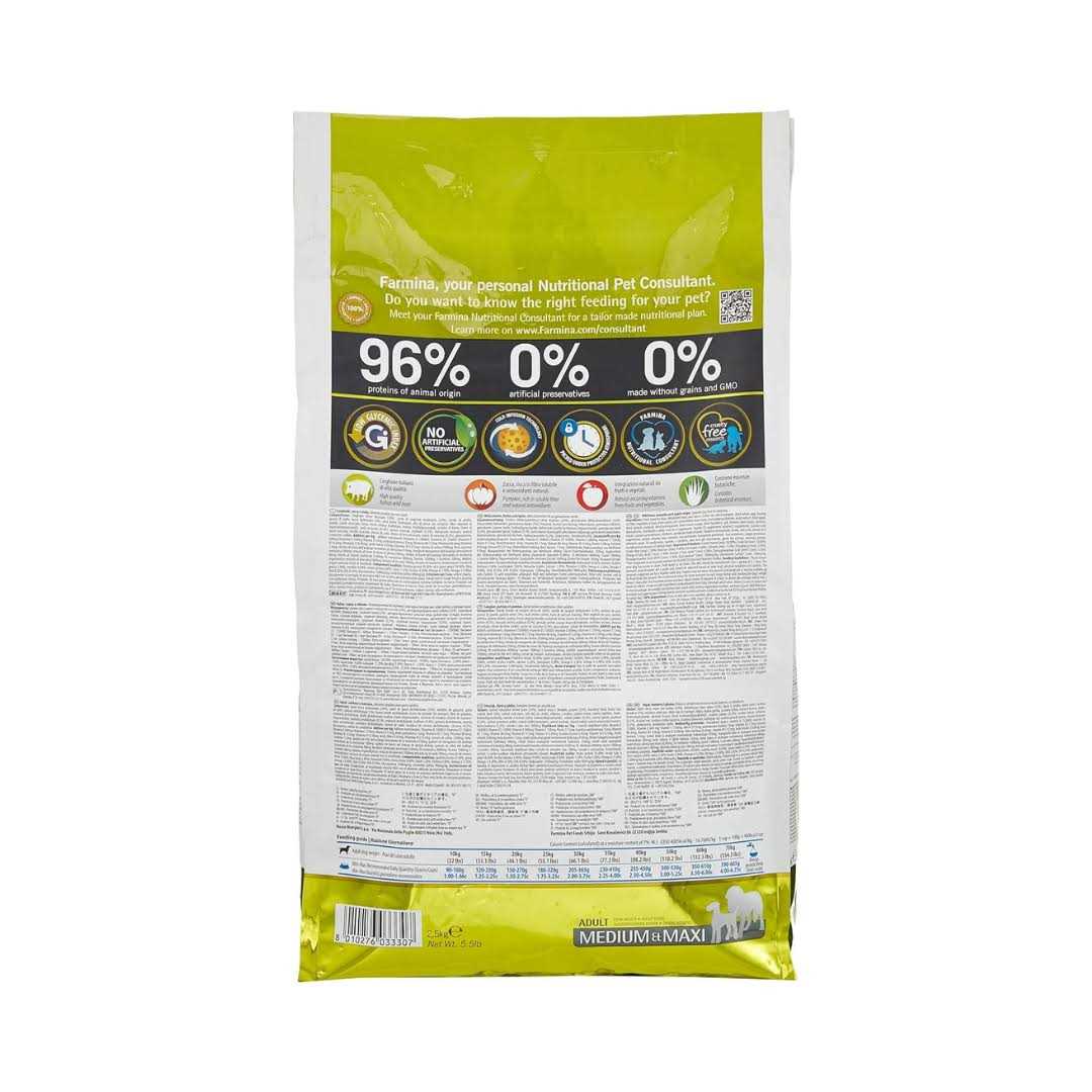 Pumpkin Boar & Apple Adult Dog Dry Food S628