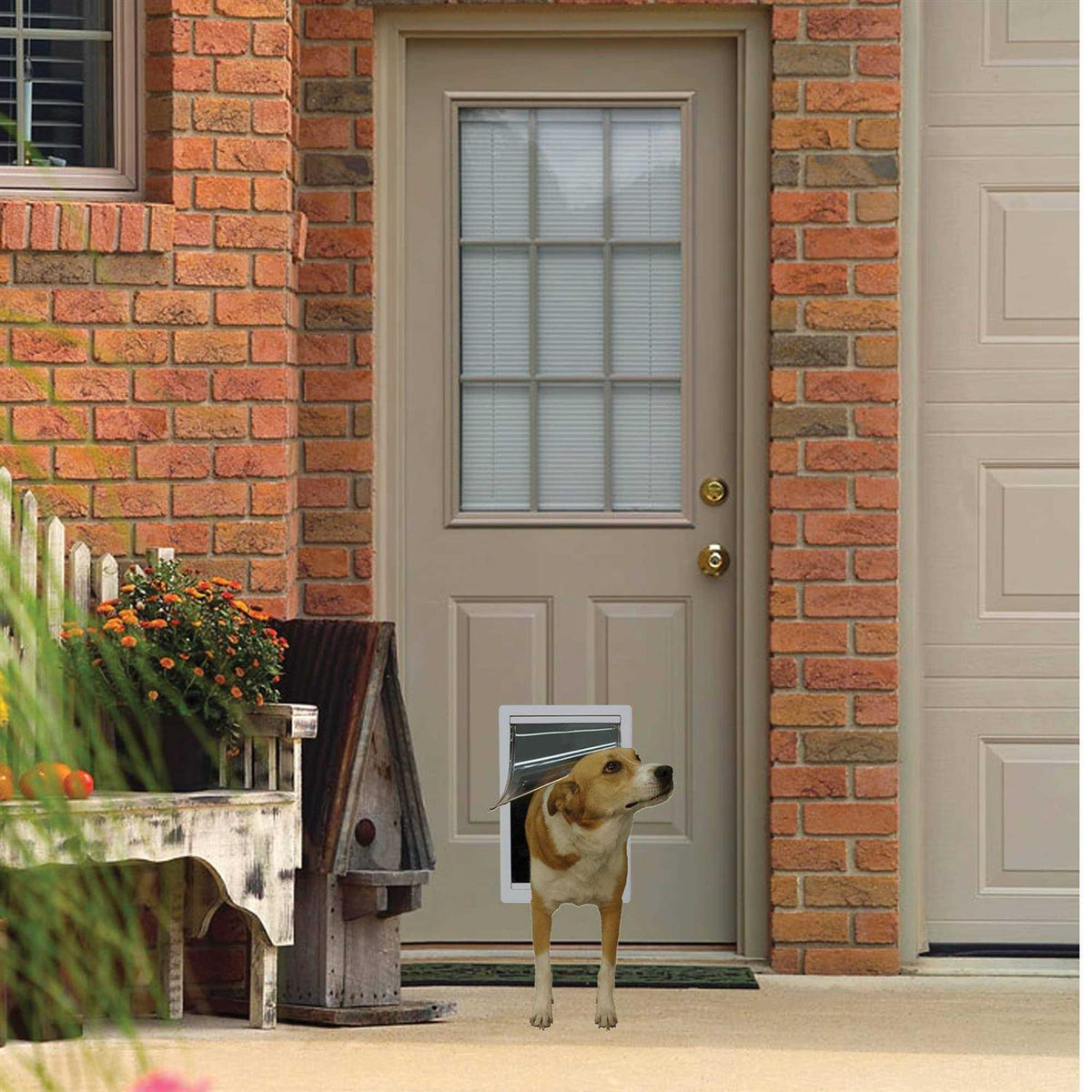 Plastic Pet Door W2447