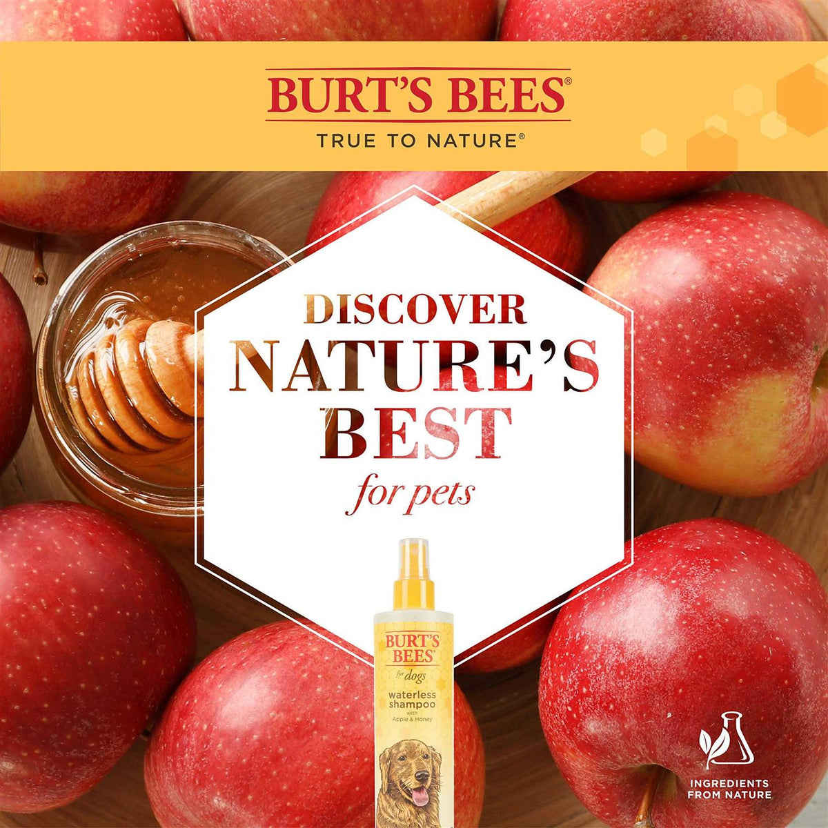 Waterless Shampoo with Apple Honey Q93824